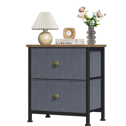 DUMOS Night Stand Small Dresser for Bedroom with 2 Drawers, Bedside Table