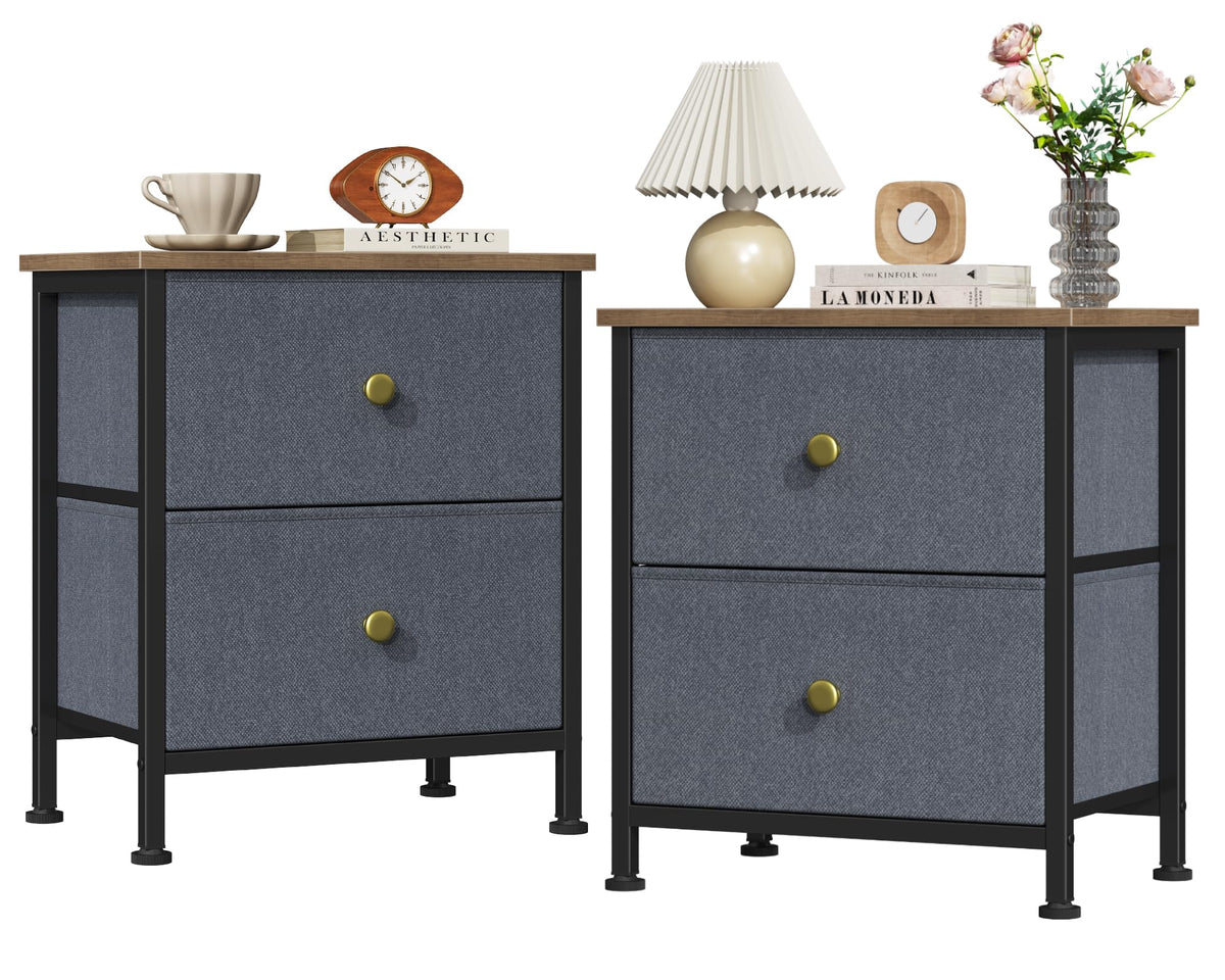 DUMOS Night Stand Small Dresser for Bedroom with 2 Drawers, Bedside Table